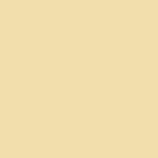 Yizhily Seamless Photography Photo Backdrop Background Paper Roll for Photoshoot 53 inches Wide x 16 feet Long, Wheat