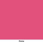 Dixie Belle Paint Company Chalk Finish Furniture Paint - Peony (32oz) - Matte Hot Pink Chic Chalk Mineral DIY Furniture Paint