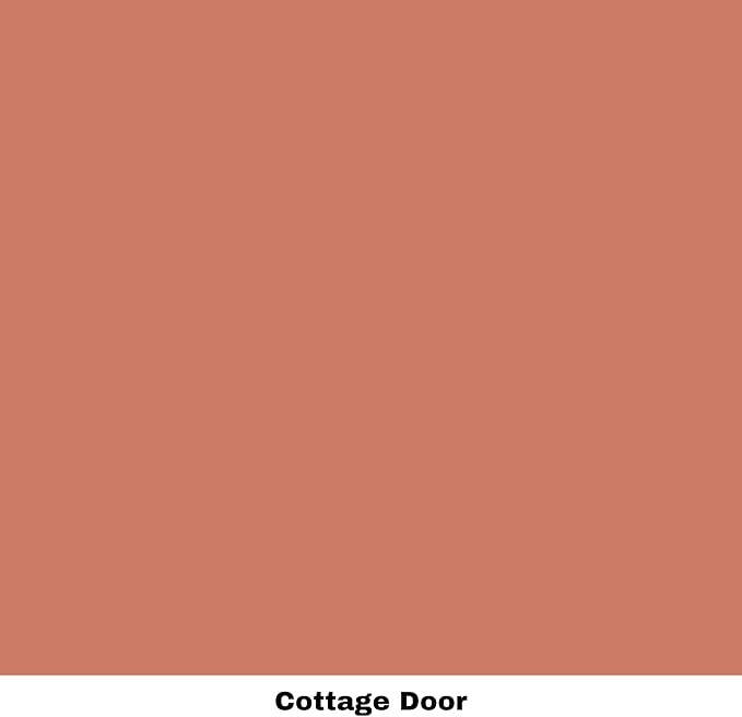 Dixie Belle Paint Company Chalk Finish Furniture Paint - Cottage Door (16oz) - Matte Dusty Coral Chic Chalk Mineral DIY Furniture Paint