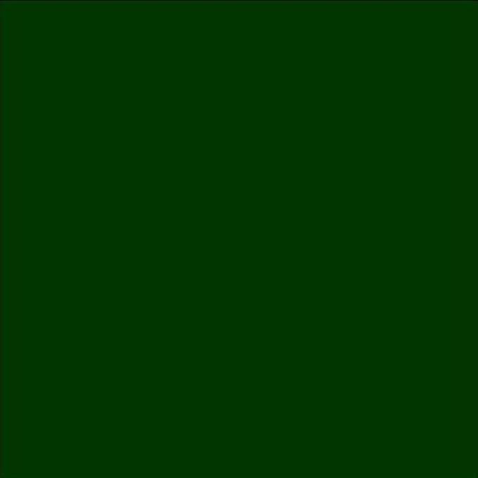 Chalkboard Blackboard Paint - Brush on Wood, Metal, Glass, Wall, Plaster Boards Sign, Frame or Any Surface. Use with Chalk Pen Wet Erase, Non-Toxic - Matte Finish [Green] - (8.5oz Cover 32 sf)