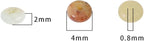 Natural Amazonite Disk Stone Beads 4x2mm 160pcs Rondelle Loose Semi Gemstone Beads for Jewelry Making Design