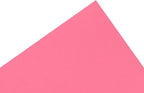 PA Paper Accents Stash Builder Cardstock 8.5" x 11" Hot Rose, 65lb Colored cardstock Paper for Card Making, Scrapbooking, Printing, Quilling and Crafts, 25 Piece Pack