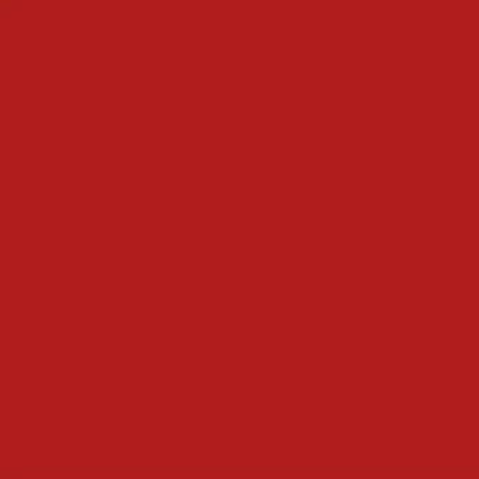 Chalkboard Blackboard Paint - Brush on Wood, Metal, Glass, Wall, Plaster Boards Sign, Frame or Any Surface. Use with Chalk Pen Wet Erase, Non-Toxic - Matte Finish [Red] - (8.5oz Cover 32 sf)
