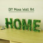 Preserved Reindeer Moss Natural Green DIY Kit Gardenning Art Wall Decor Florist Decor Easter Table Decor Wedding