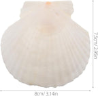 GLEAVI Scallop Shells for Crafts: 21pcs Natural Scallop Shells Bulk 3.14 Inch Sea Shell Decoration for Ocean Themed Parties and Home Decor