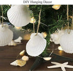 30 pcs 2-3 inch Natural Scallop Shells White Sea Shells from Sea Beach for DIY Craft Home Décor