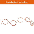 Tenn Well 15 Gauge Aluminum Wire, 164 Feet 1.5mm Bendable Metal Craft Wire for Jewelry Making, Beading, Sculpting and Bonsai Training (Copper)