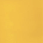 Liquitex BASICS Acrylic Paint, 118ml (4-oz) Tube, Cadmium Yellow Deep Hue (Pack of 1)