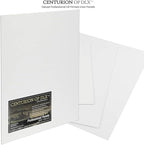 Centurion Deluxe Professional Oil Primed Linen Canvas Panels - 20x24-3 Pack of Linen Canvases for Painting, Artwork and More