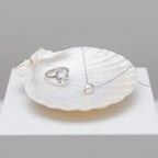 YOUKE OLA 72PCS Scallop Shells for Crafts Large Beach Natural Shells Bulk for Decoupage DIY Crafts Seashell Decorations Home Decor White 4''-4.5''