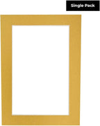 8x10 Mat Bevel Cut for 5.5x8.5 Photos - Acid Free Metallic Gold Precut Matboard With Backing Board and Crystal Clear, Self Seal Photo Mat Bag - For Pictures, Photos, Framing - 4-ply Thickness