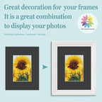 MBC Mat Board Center, 5 Pack 8.5X11 for 5X7 Black Picture Mats Frame Mattes, Bevel Cut, Acid Free, 4-Ply Thickness