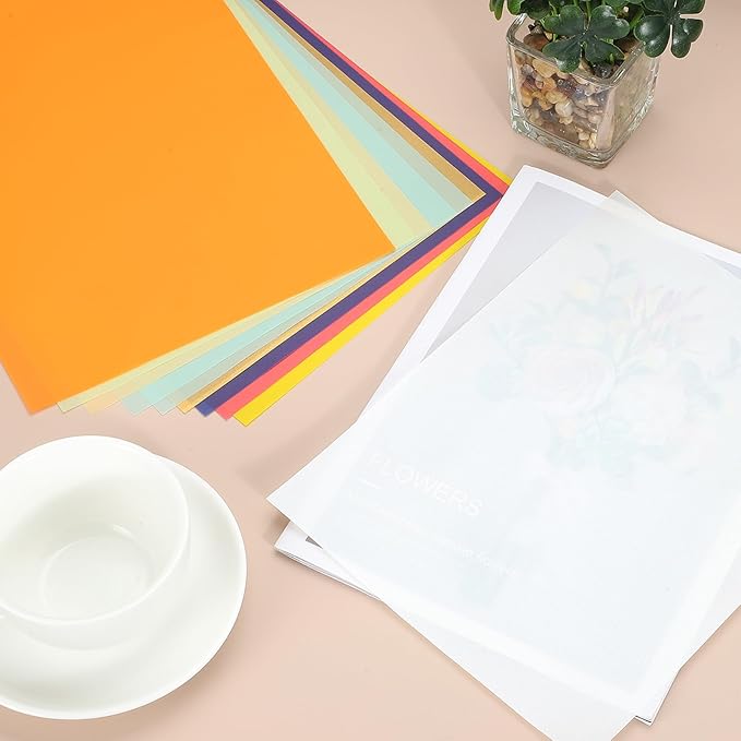 PATIKIL 30 Sheets Vellum Paper 8.5x11inches, Printable Translucent Paper 100GSM Colored for Invitations Laser Inkjet Printing Card Making Crafting Wedding Tracing, Multicolored