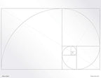 Koala Tools | Geometric Grid Transparency Sheets (Variety Pack of 4) - 8.5" x 11" | Overhead Projector and Light Box Transparencies - Tracing Film for Sketching & Drawing
