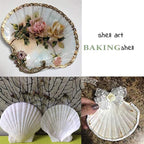 6PCS Scallop Shells for Serving Food,Baking Shells Large Natural White Scallops from Sea Beach for DIY Craft Decor 4-5 Inches