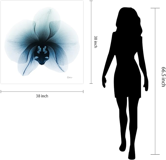Empire Art Direct Frameless Free Floating Tempered Glass Panel Graphic Wall Art Ready to Hang, 38" x 38", Glacial Orchid