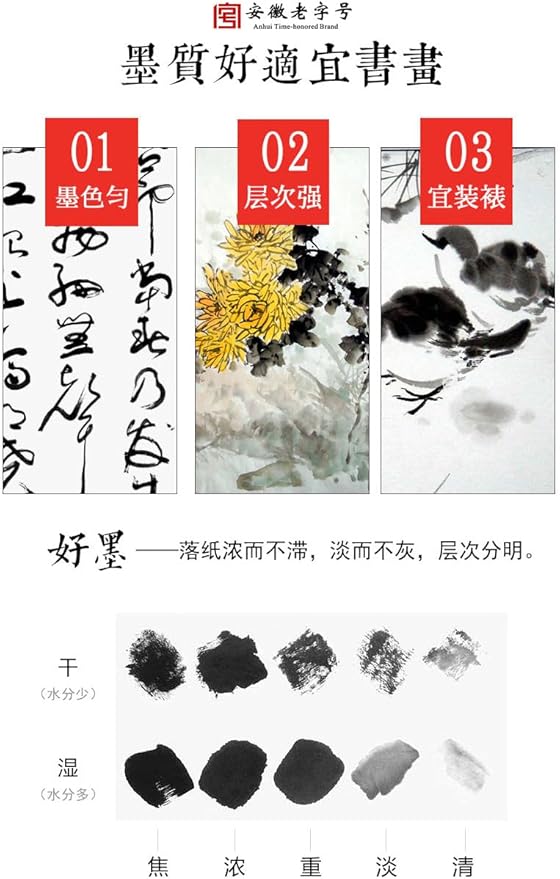 Sumi Ink, Chinese Calligraphy Ink, Liquid Black Carbon Ink, Manga Ink (500ml (17oz), Black)
