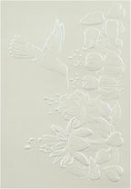 BAOFALI 3D Embossing Folder for Card Making,Hummingbird and Flowers Clear Plastic Texture Fades Embossing Folder Template for Scrapbooking and Other Paper Craft Album Stamps DIY Decoration