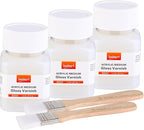 3Pcs Gloss Varnish for Acrylic Painting, 180ml Acrylic Varnish Clear Coat, Non-Yellowing, Non-Toxic for Artwork, Acrylics Paint, Suitable for Pro Artists, Hobby Painter