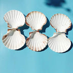 10 PCS 4-5 inch Large Scallop Shells Baking Sea Shells Large Natural White Scallop Shell From Sea Beach For DIY Craft Decor