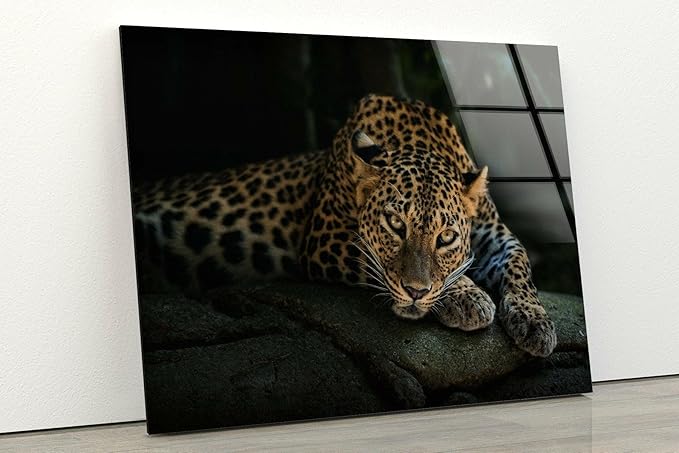 My Photostation.com 30Wx24H'' Fierce Leopard Glass Wall ArtTempered Glass Printing Wall Decor Large Wall Art Wall Hangings