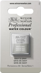 Winsor & Newton Professional Water Colour Paint, Half Pan, Davy's Gray