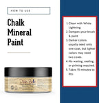 Dixie Belle Paint Company Chalk Finish Furniture Paint - Manatee Gray (4oz) - Matte Light Gray Chic Chalk Mineral DIY Furniture Paint