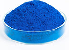 GOODTAKE 10 LB Blue Concrete Color Pigment | Concrete Cement Color DYE | Iron Oxide Powder for Mortar, Grout | Ready to Use | Add to Mix (Blue, 10 Pounds)