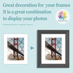 MBC Mat Board Center, 5 Pack 8x10 for 6x8 White Picture Mats Frame Mattes, Bevel Cut, Acid Free, 4-ply Thickness