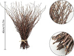 Uieke 100PCS Natural Dried Birch Twigs - 17 Inch Dried Plants Decorative Branches for DIY Crafts, Sticks for Vases Wedding Arrangements Home Wreath Decor