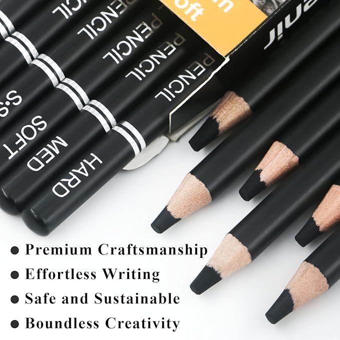 Charcoal Pencils for drawing, Set of 12, Charcoal Drawing Pencils (S-Soft, Soft, Medium, Hard), Art Supplies for Artist, Sketching, Shading