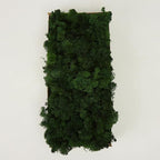 Preserved Reindeer Moss Natural Green DIY Kit Gardenning Art Wall Decor Florist Decor Easter Table Decor Wedding