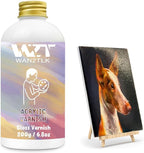 Acrylic Varnish, Professional Gloss Varnish for Acrylic Painting, Seals and Protects Artworks, Non-Toxic, Art Acrylic Paint Sealer for Handmade Artists, Painter & Kids (200ml/Gloss)