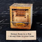 iDventure Cluebox - Schroedingers Cat - Escape Room Game - Puzzle Box - 3D Wooden Puzzle for Adults - Treasure Gift Box - Brain Teaser - Birthday Gift Gadget for Men and Women - Money Box