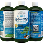Organic Marina Mist Foliar Spray for All Live Indoor and Outdoor Bonsai Tree Plants | Micro Nutrients for Vital Bonsai Health | Gentle Formula | Liquid Plant Food | Quick Results (8 oz)