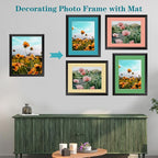 ZBEIVAN 12 Packs Mixed Colors 11x14 Picture Frame Mats for 8.5x11 Photos, Artworks and Prints, White Core Bevel Cut Frame Mattes