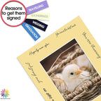 Mat Board Center, Pack of 25, 8x10 for 5x7 Mixed Color Mats - Acid Free, 4-ply Thickness, White Core - for Pictures, Photos, Framing