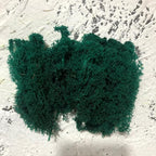 Preserved Reindeer Moss Natural Green DIY Kit Gardenning Art Wall Decor Florist Decor Easter Table Decor Wedding