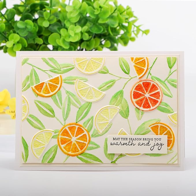 BAOFALI 3D Embossing Folders Lemon Textured for Card Making,Embossing Template Paper Card Embossing Stencil for DIY Scrapbooking Photo Album Card Paper Craft Decoration 6.3" L x 4.5" W