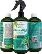 Organic Marina Mist Foliar Spray for Money Tree | Liquid Fertilizer | Micro Nutrients for Vital Health | Liquid Plant Food (8 OZ)
