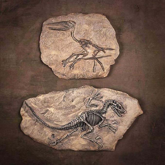 XINDAM Resin Dinosaur Fossil Statue Model Simulated Skeleton Home Office Display Decorative Craft Box Decoration (Style 2)
