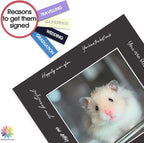 Mat Board Center, Pack of 25, 12x12 for 8x8 Black Mats - Acid Free, 4-ply Thickness, White Core - for Pictures, Photos, Framing