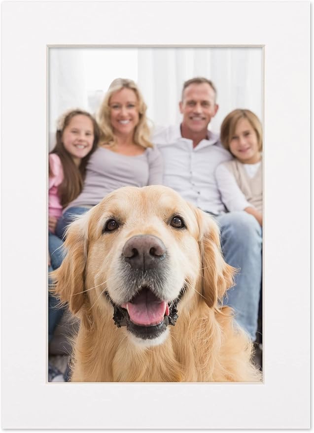6x8 Mat for 8x10 Frame - Precut Mat Board Acid-Free White 6x8 Photo Matte Made to Fit a 8x10 Picture Frame, Premium Matboard for Family Photos, Show Kits, Art, Picture Framing, Pack of 1 Mat