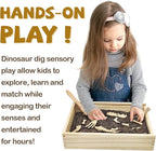 Xylolin Dinosaur Excavation Archaeology Dig Kit for Kids, Fossil Explore Sensory Bin Toys, Dino Skeletons Bones Puzzle Game, Archaeology Science STEM Toys for Boys and Girls (Tyrannosaurus)