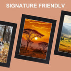 HOTUO 10 Pack Acid Free Black 11x14 Picture Frame Mats for 9x12, Pre-Cut with Ivory Core Bevel Cut, 4 Ply Thickness Photo Mat for Frames/Artwork/Prints/Pictures.