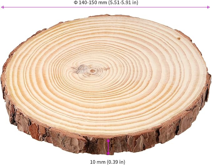 JEUIHAU 12 PCS 5.5-5.9 Inches Natural Wood Slices with Holes, Unfinished Predrilled Wooden Circles Tree Bark Slice, Blank Wooden Log Circles for DIY Crafts, Arts Wood Slices, Christmas Ornaments