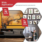 303-Piece Picture Hanging Assortment, Heavy Duty Hooks, Nails, Sawtooth, D-Rings, Wire, Level, and Metal Wall Hooks for Picture Framing and Canvas Mounting (Gold)