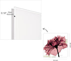 Empire Art Direct Frameless Free Floating Tempered Glass Panel Graphic Wall Art Ready to Hang, 24" x 24", Chianti Rose I, Red Flower Art