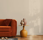 EVOLVE Paint & Primer: Environment-friendly, Low Sheen with One-coat Coverage for Interior & Exterior surfaces (Beach Beige, 5-Gallon)