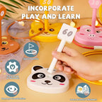 Animal Ring Toss Game Toy Set for Kids, 6 Targets Stands & 36 Rings Combo, Indoor Outdoor Party Yard Family Adults Activity, Birthday Present for Toddlers Boys Girls Child Ages 3+